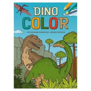 Dino color kleurblok
