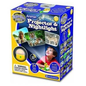 nachtlamp projector animal