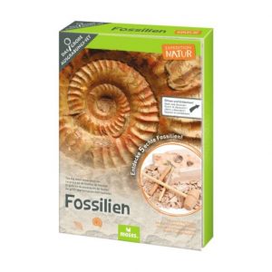 Fossielen Uithakset