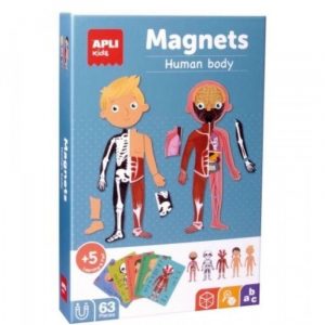 Magnetische kaarten lichaam
