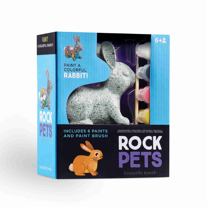 Rock pets bunny painting