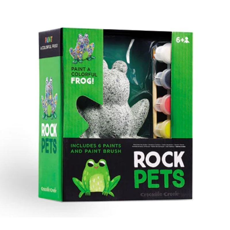 Rock pets frog painting