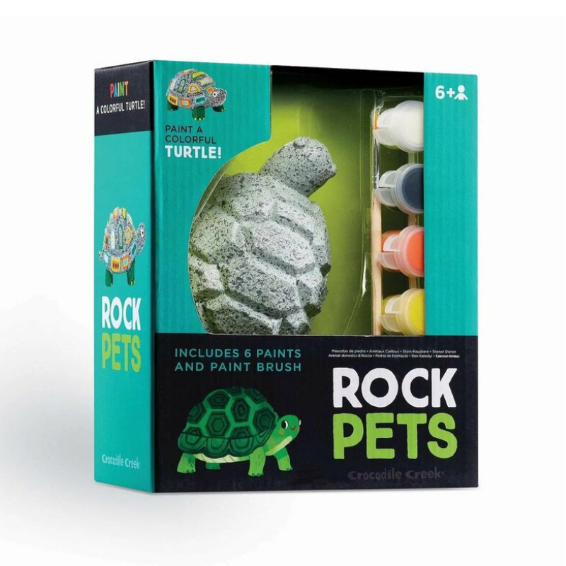 Rock pets turtle painting